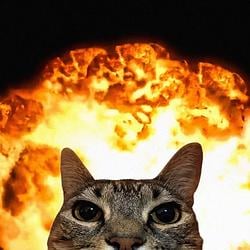 DOOM