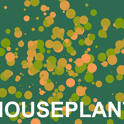 houseplant