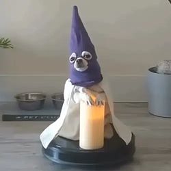 KuKluxKat