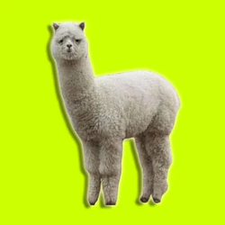 草你妈 / WETH
