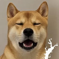 Virginu