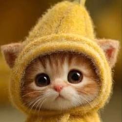 HOOD