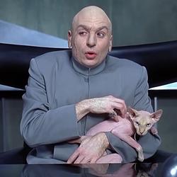 HOLDCAT