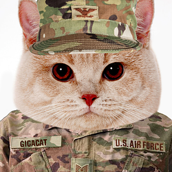 GIGACAT