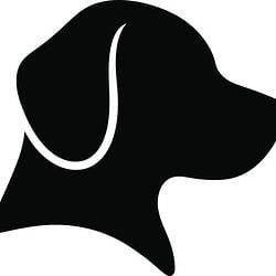 JDOG