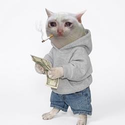 CASHLESS