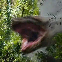 BOIÚNA
