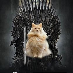 CAT OF THRONES / WETH