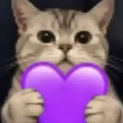 💜 / SOL