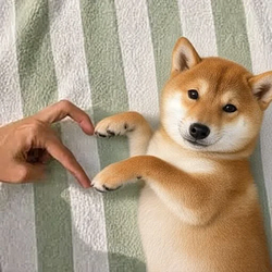 ily