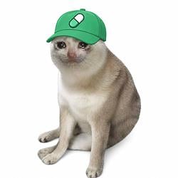 PUMPCAT / USDC