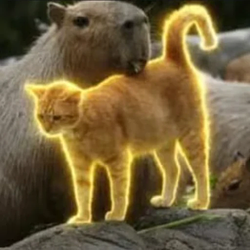 Oyen / SOL