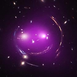 CATGALAXY