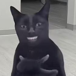 CLAP