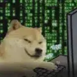 Hackinu