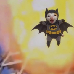 BATLICO