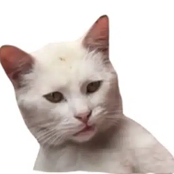 pCAT / SOL