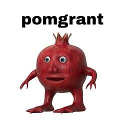 POMGRANT / SOL