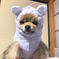 dih