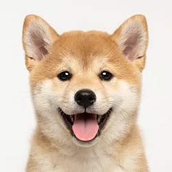 Inuficatio