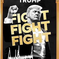 TRUMP / WETH 0.25%