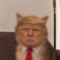 zTRUMP