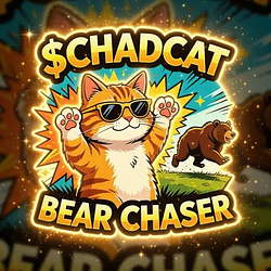 CHADCAT / SOL