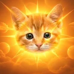 Sun Cat