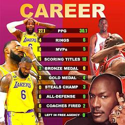 Career23 / SOL