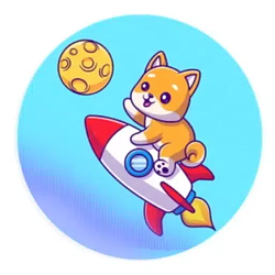 ROCKETCATC