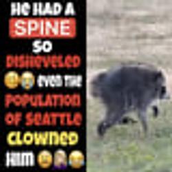 SPINELESS / SOL