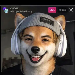 dvINU