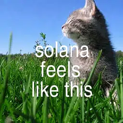 solana / SOL