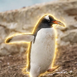 GENTOO