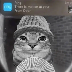 MOTION / SOL
