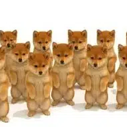dogeloreans