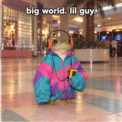 $FROG🐸