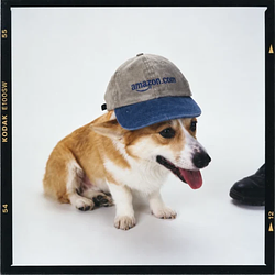 Rufus