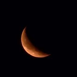 ToTheMoon