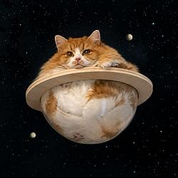 CATURN