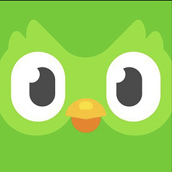 Duolingo Owl logo