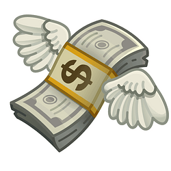 💸