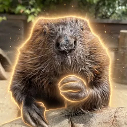 Peanut