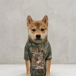 huntinu