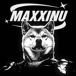 MAXXINUSI