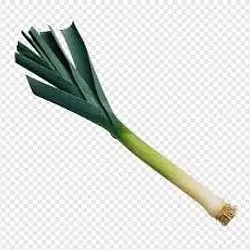LEEK