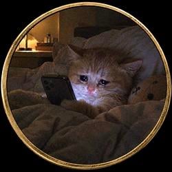 RINSEDCAT
