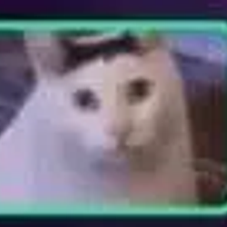 Huhcat