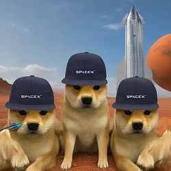 PUPS