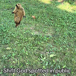 shiftgod